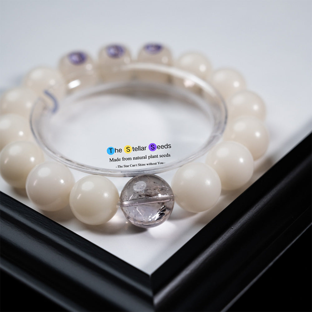 Amethyst Bracelet & Bodhi Seed – Find Peace and Light Within - The Stellar Seeds