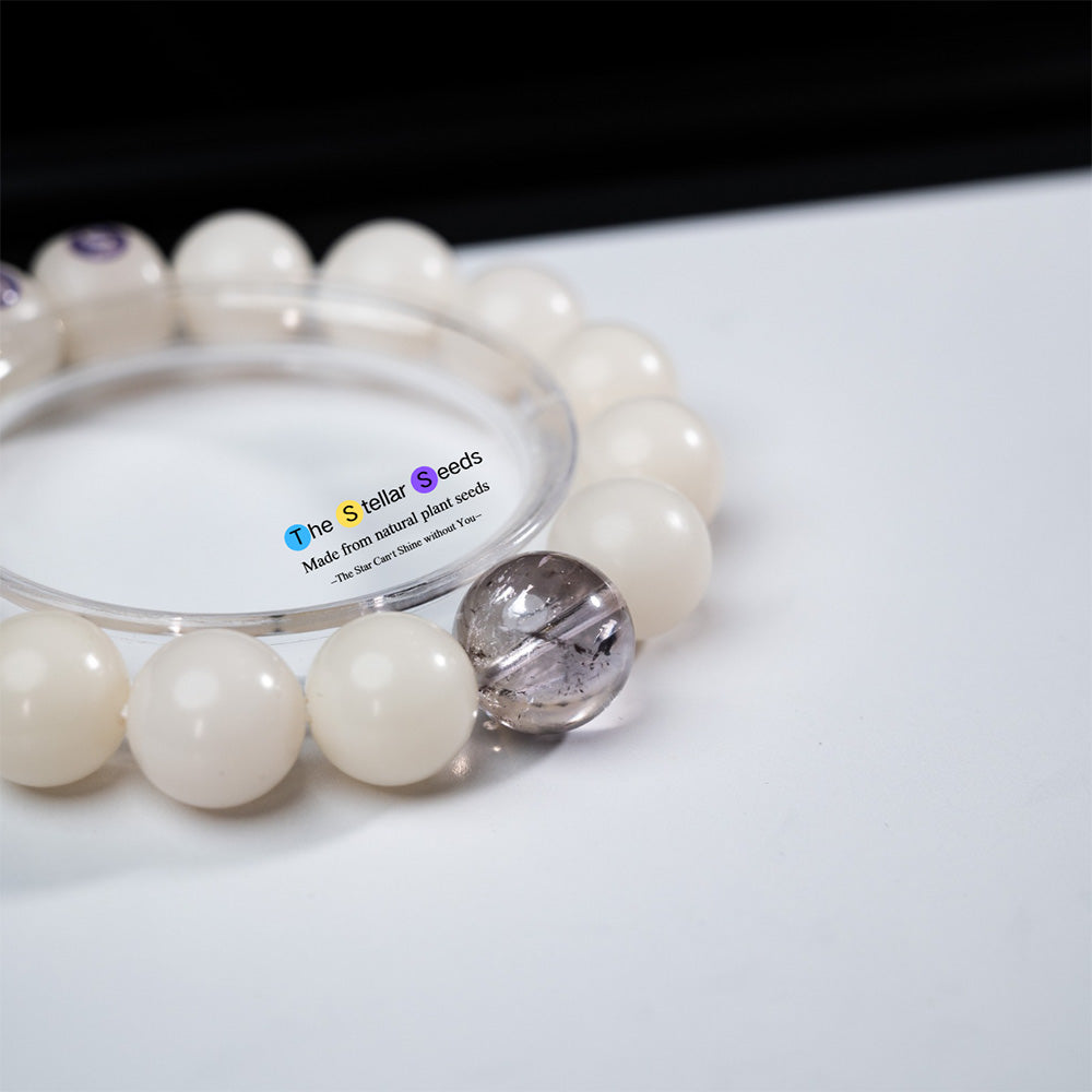 Amethyst Bracelet & Bodhi Seed – Find Peace and Light Within - The Stellar Seeds