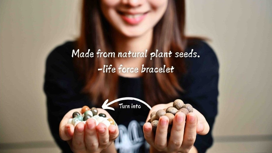 The Stellar Seeds