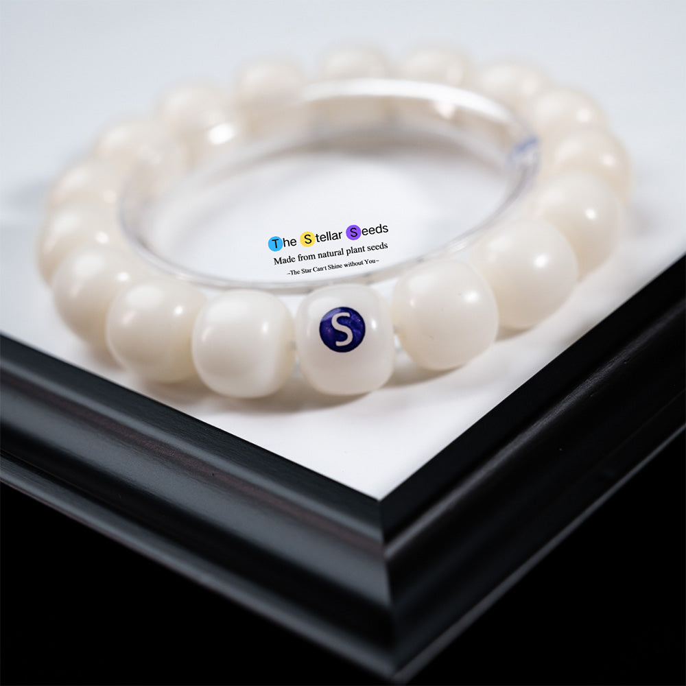 Natural White Bodhi Seed Bracelet – Embrace Serenity and Focus - The Stellar Seeds