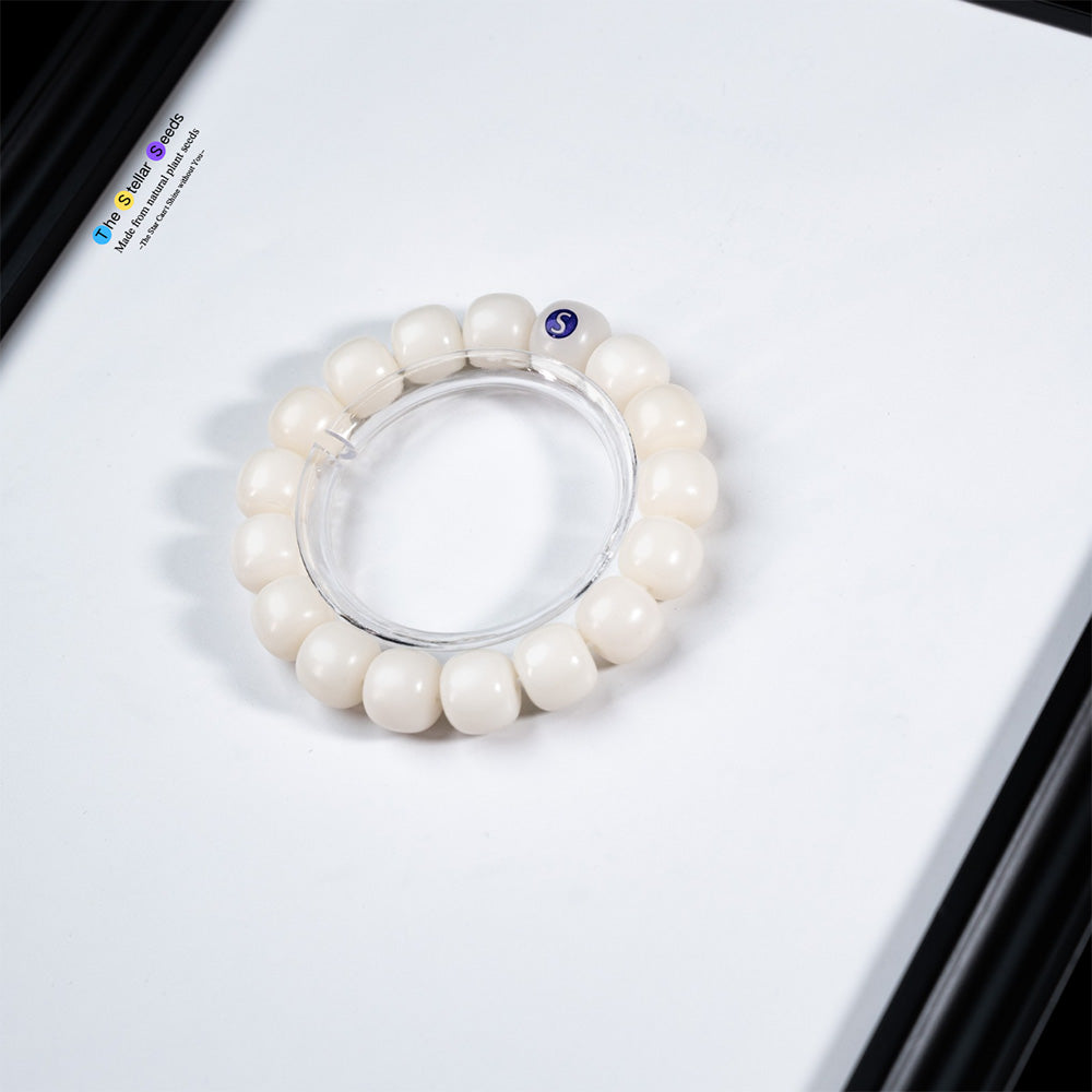 Natural White Bodhi Seed Bracelet – Embrace Serenity and Focus - The Stellar Seeds