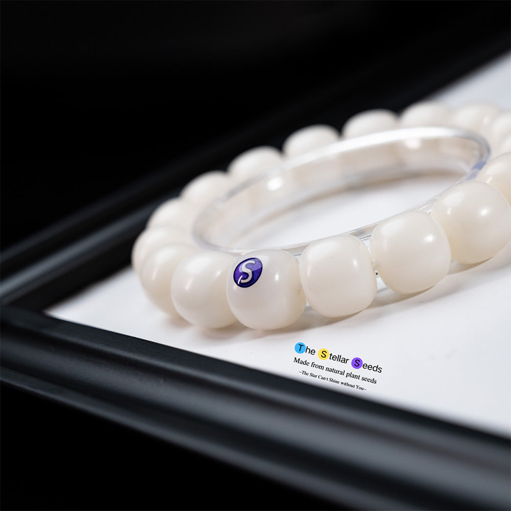 Natural White Bodhi Seed Bracelet – Embrace Serenity and Focus - The Stellar Seeds