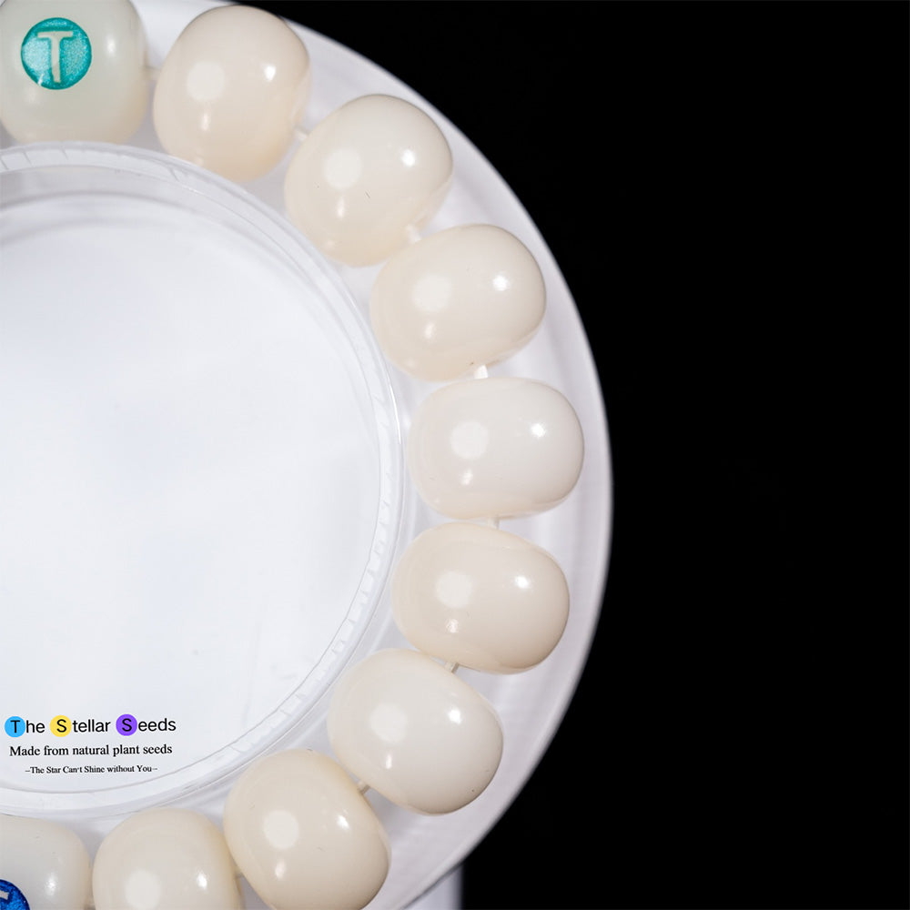 Zen in White – Natural Bodhi Bead Mala Bracelet - The Stellar Seeds