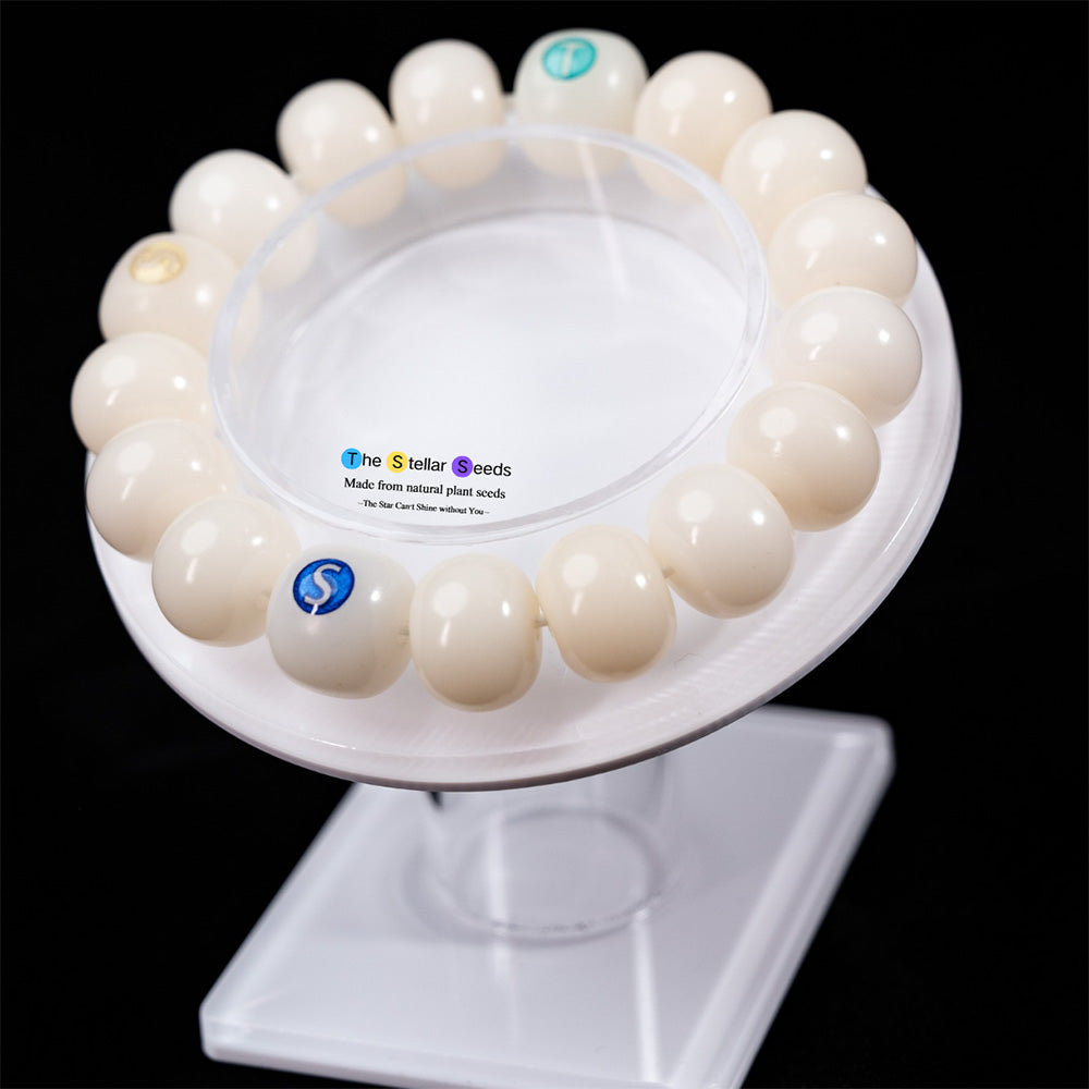 Zen in White – Natural Bodhi Bead Mala Bracelet - The Stellar Seeds