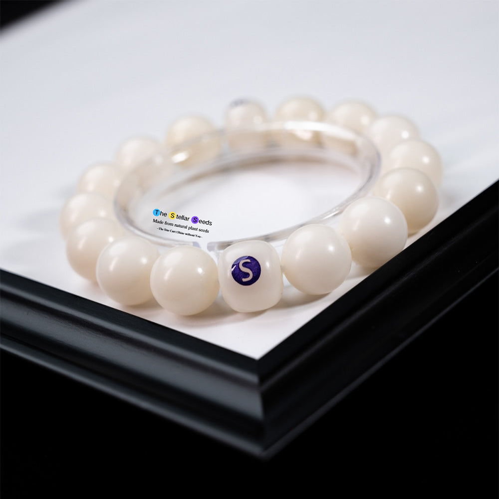 Bodhi Seed Bracelet – Someday & Finally, From Intention to Achievement - The Stellar Seeds