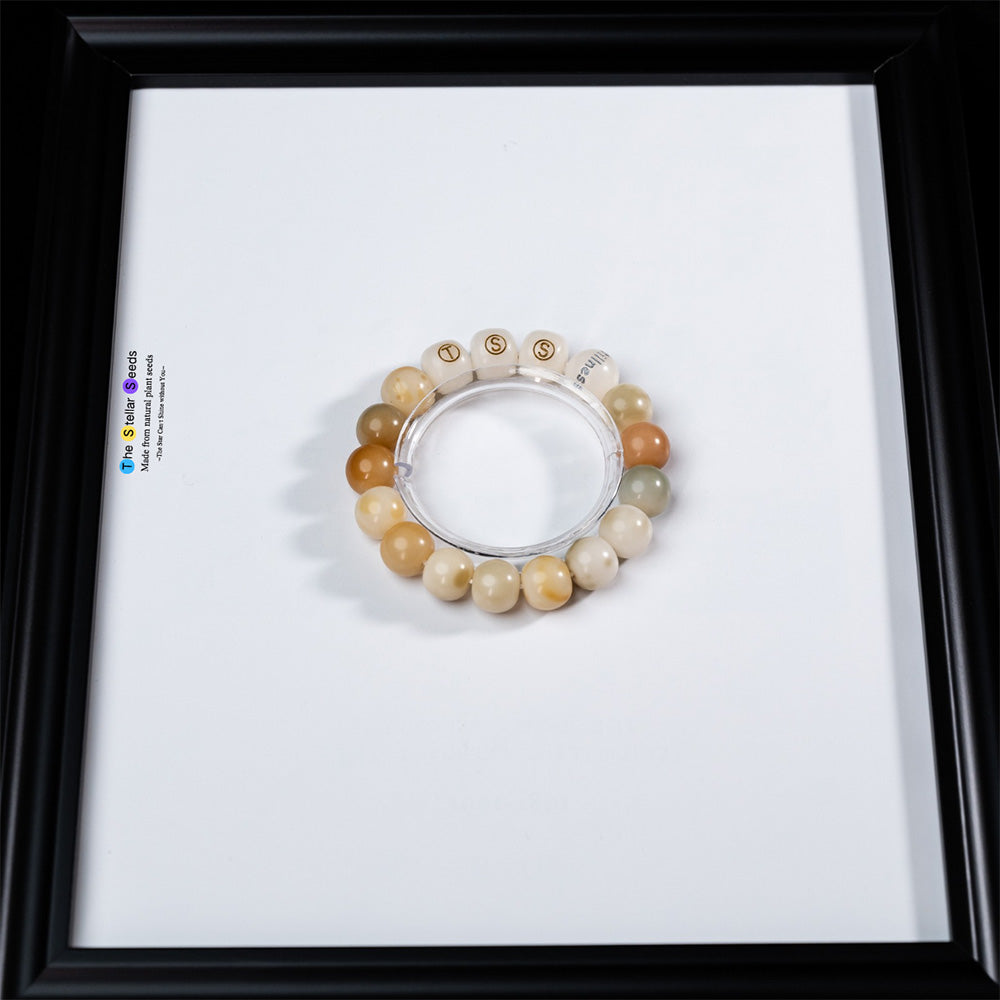 Stillness | Multicolor Bodhi Meditation Bracelet - The Stellar Seeds