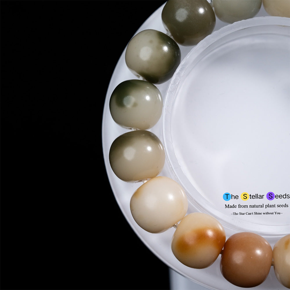 Dragon Ceramic Bodhi Bead Bracelet – Balance & Strength - The Stellar Seeds