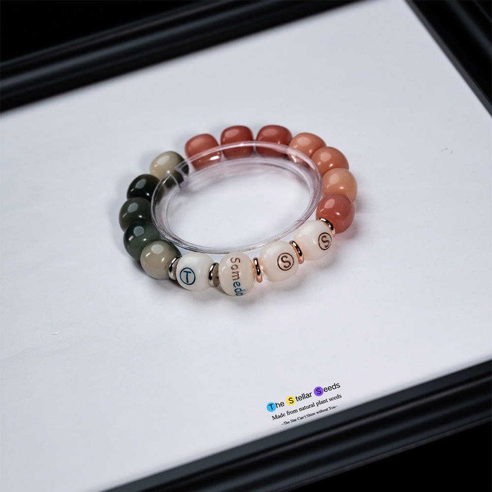 Someday & Finally Bodhi Bead Bracelet – A Journey of Dreams - The Stellar Seeds