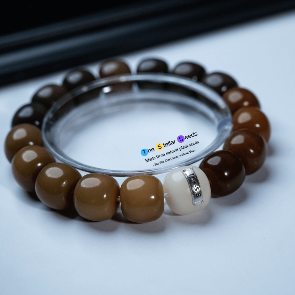 Green Bodhi Seed Spiritual Bracelets – Growth, Healing, and Focus - The Stellar Seeds