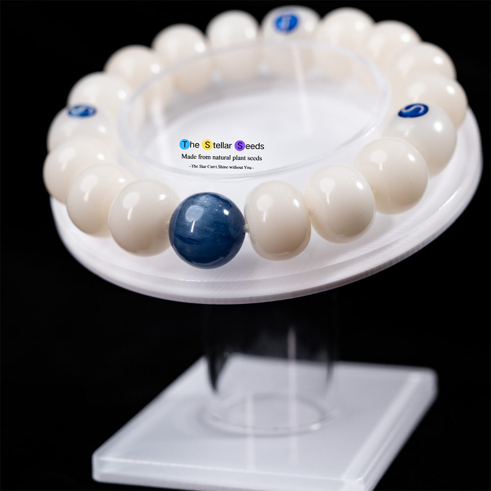 White Bodhi Seed & Kyanite Bracelet – Serenity & Communication Harmony - The Stellar Seeds