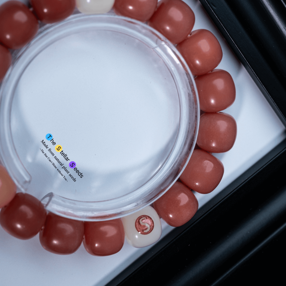 Bodhi Seed & Moissanite Mala Beads Bracelet – Spiritual Light Meets Inner Peace - The Stellar Seeds