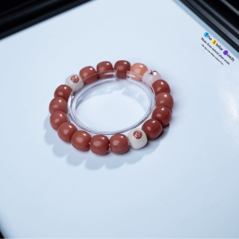 Bodhi Seed & Moissanite Mala Beads Bracelet – Spiritual Light Meets Inner Peace - The Stellar Seeds