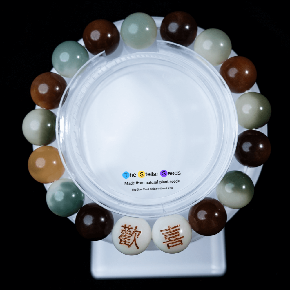 Colorful Bodhi Seed Japa Mala – “Joy” Carved Bracelet for Mindfulness - The Stellar Seeds