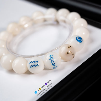 White Bodhi Seed Mala Beads – Aquarius Constellation for Mindfulness - The Stellar Seeds