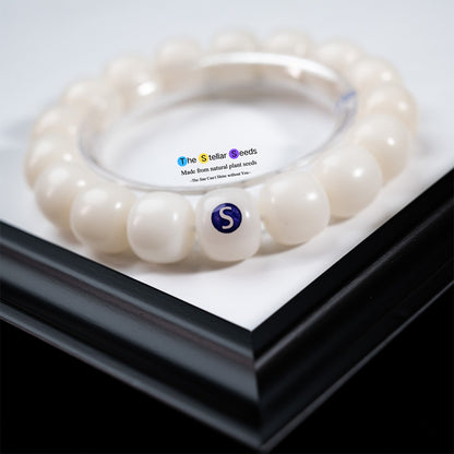 Natural White Bodhi Seed Bracelet – Embrace Serenity and Focus - The Stellar Seeds