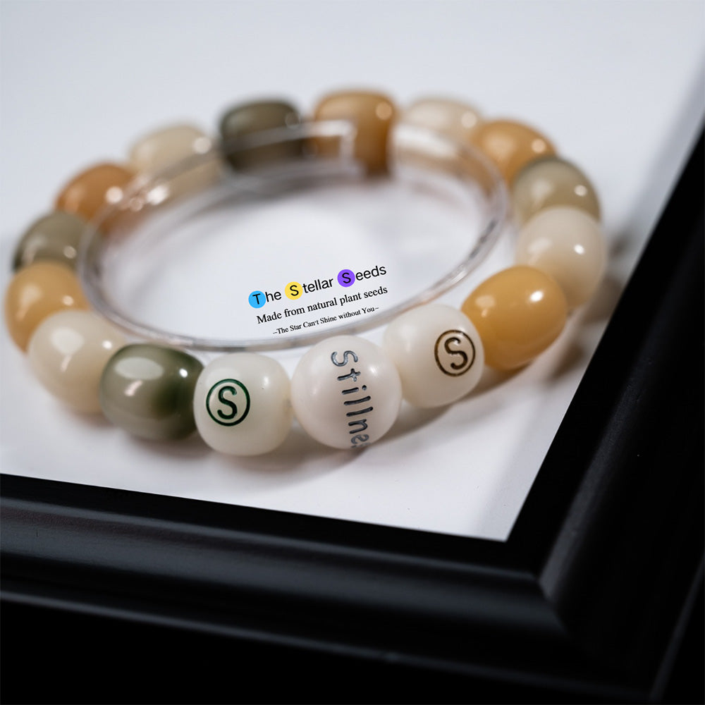 Multicolored Bodhi Seeds – A Bracelet for Stillness and Meditation - The Stellar Seeds