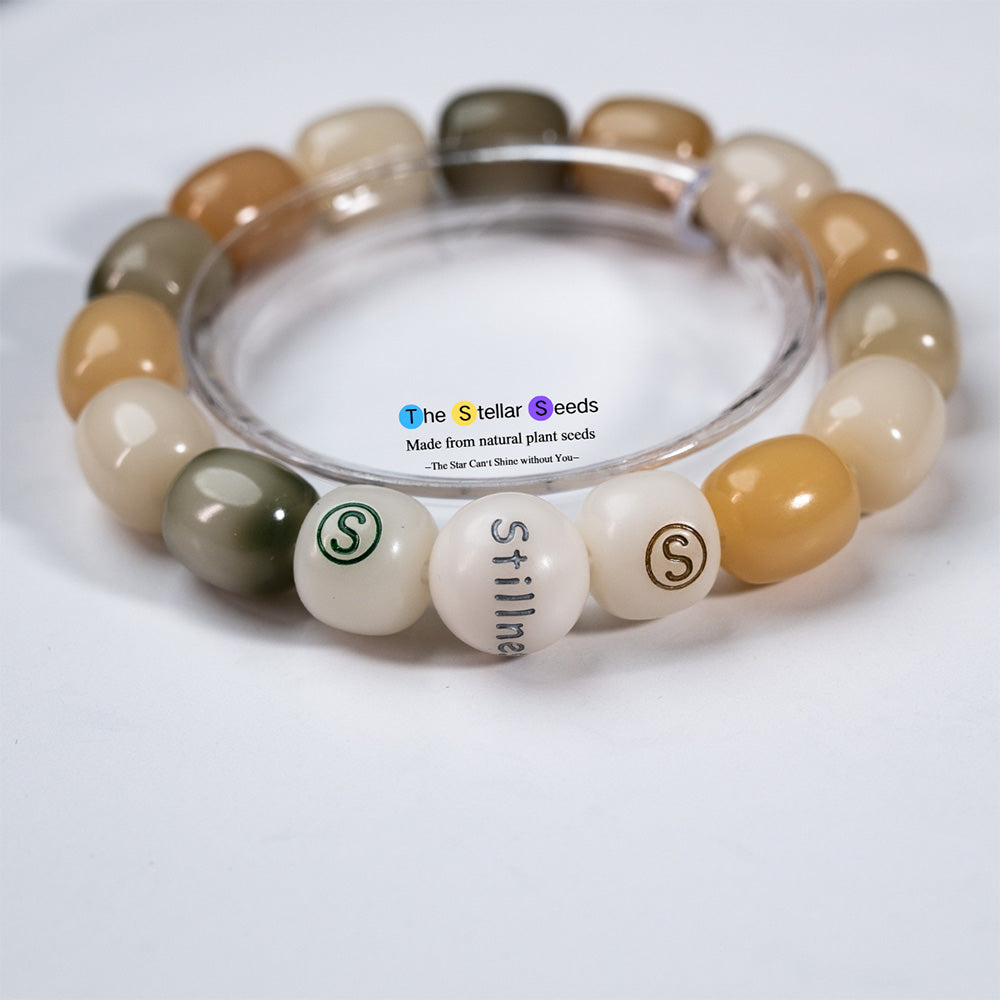 Multicolored Bodhi Seeds – A Bracelet for Stillness and Meditation - The Stellar Seeds