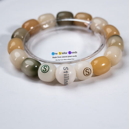 Multicolored Bodhi Seeds – A Bracelet for Stillness and Meditation - The Stellar Seeds
