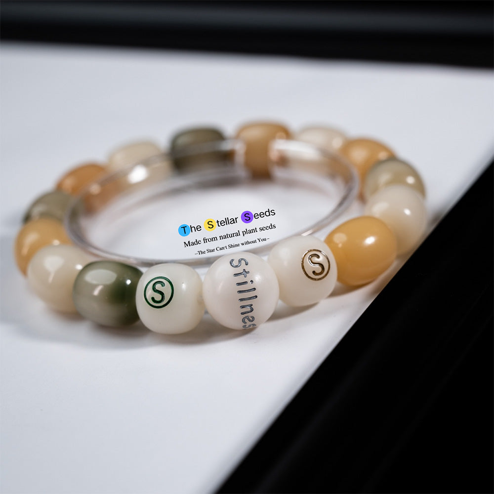 Multicolored Bodhi Seeds – A Bracelet for Stillness and Meditation - The Stellar Seeds