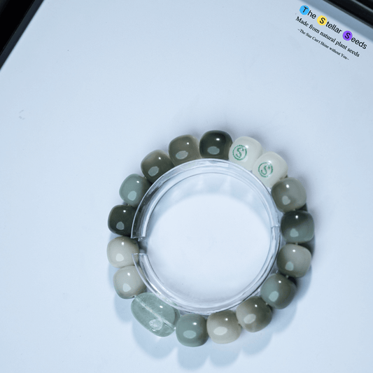 Bodhi Seed Mala Beads Bracelet – For Meditation, Energy Cleansing & Inner Peace - The Stellar Seeds
