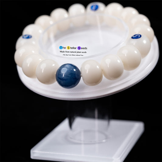 White Bodhi Seed & Kyanite Bracelet – Serenity & Communication Harmony - The Stellar Seeds