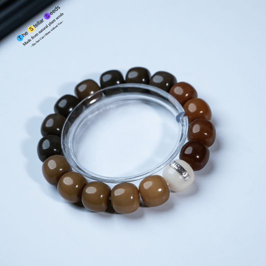 Green Bodhi Seed Spiritual Bracelets – Growth, Healing, and Focus - The Stellar Seeds