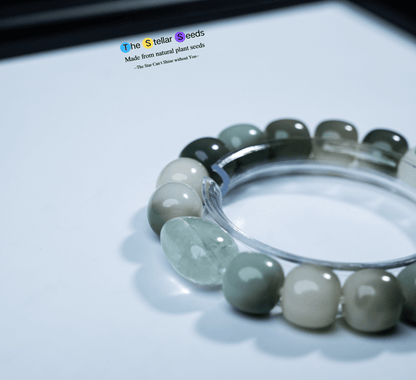 Bodhi Seed Mala Beads Bracelet – For Meditation, Energy Cleansing & Inner Peace - The Stellar Seeds